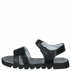 433-0686 Black*Gulliver Sale