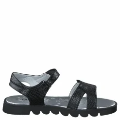 433-0686 Black*Gulliver Sale