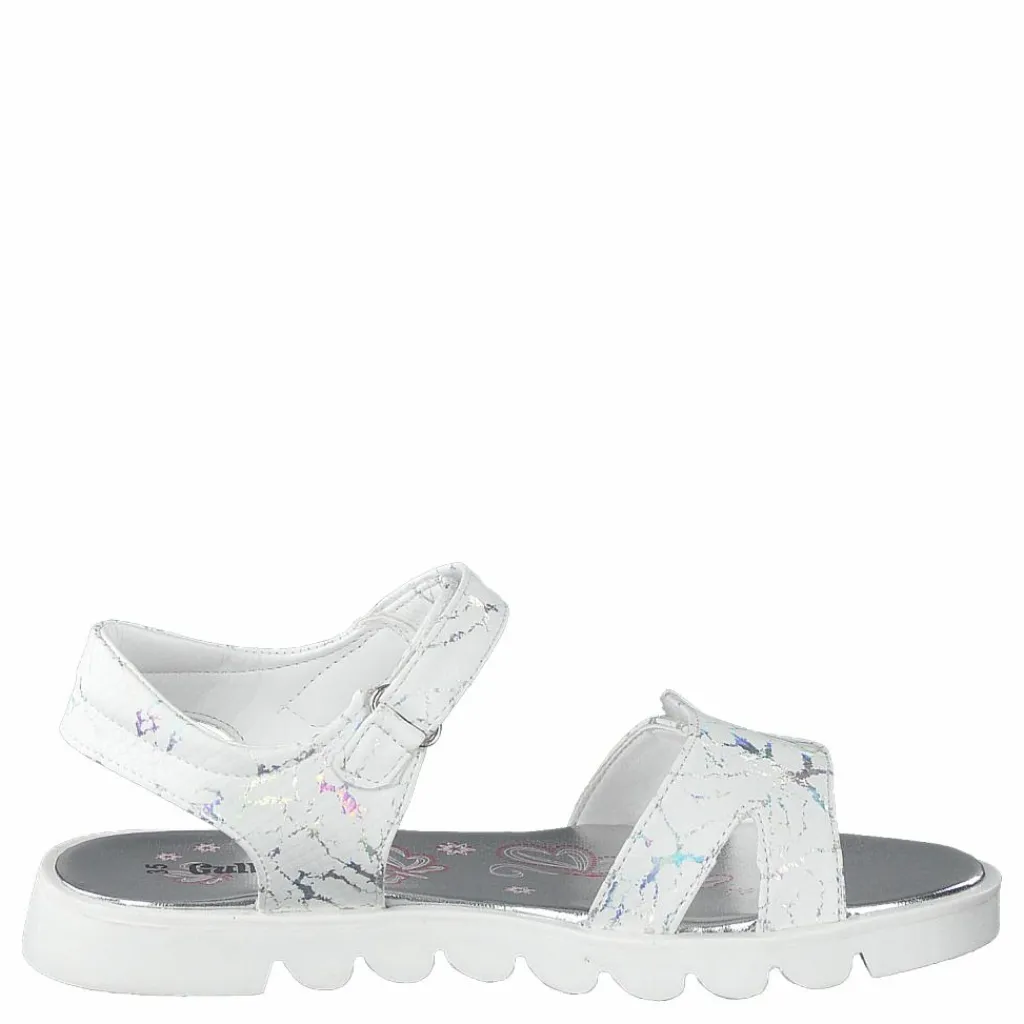 Gulliver 433-0686 White Vit Hot