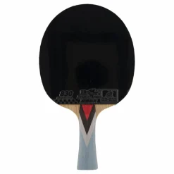 Double Fish 4a+ Table Tennis Racket