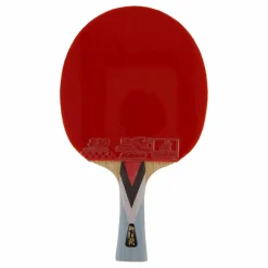 Double Fish 4a+ Table Tennis Racket