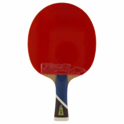 Double Fish 5a+ Table Tennis Racket Sale