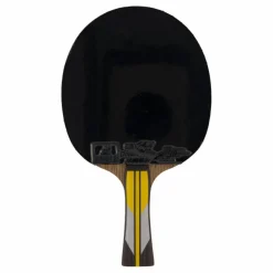 Double Fish 6a+ Table Tennis Racket New
