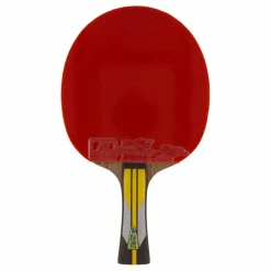 Double Fish 6a+ Table Tennis Racket New