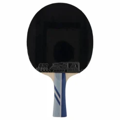 Double Fish 3a+ Table Tennis Racket Best