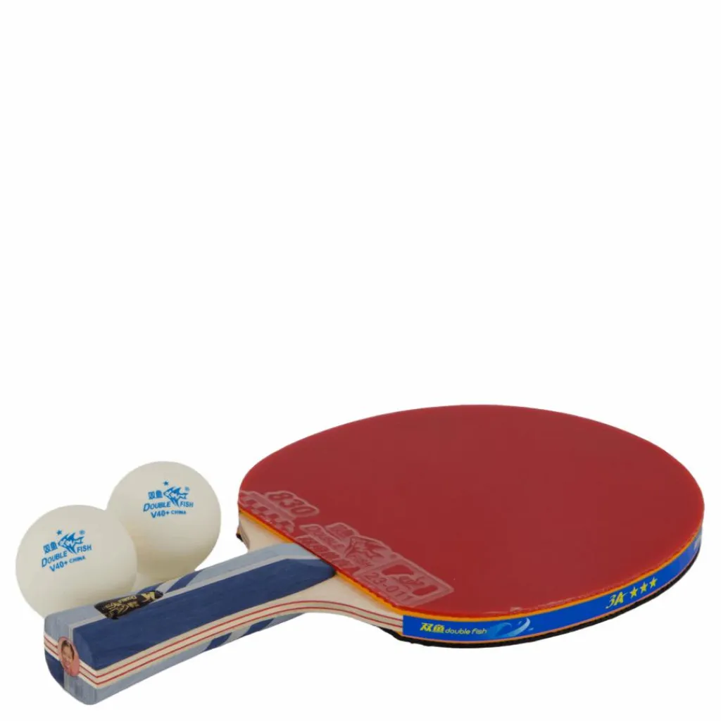 Double Fish 3a+ Table Tennis Racket Best