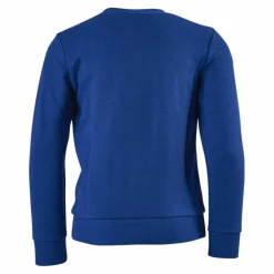 adidas Boys Essentials Big Logo Sweatshirt Team Royal Blue / White Blå Best