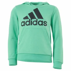 adidas Boys Essentials Big Logo Hoodie Semi Screaming Green / Black Grön Outlet