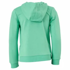 adidas Boys Essentials Big Logo Hoodie Semi Screaming Green / Black Grön Outlet