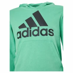 adidas Boys Essentials Big Logo Hoodie Semi Screaming Green / Black Grön Outlet