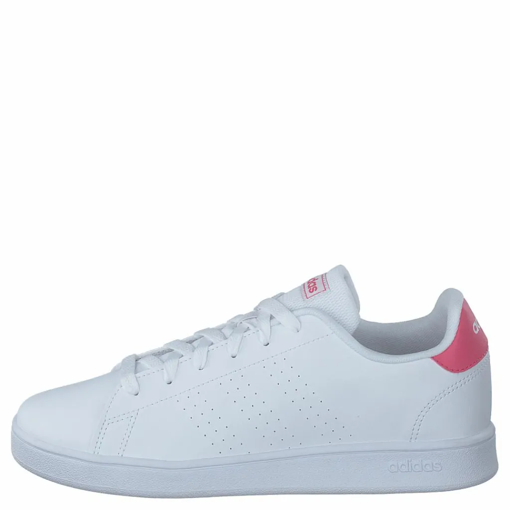 adidas Advantage Shoes Cloud White / Real Pink / Cloud White Vit och Rosa Discount