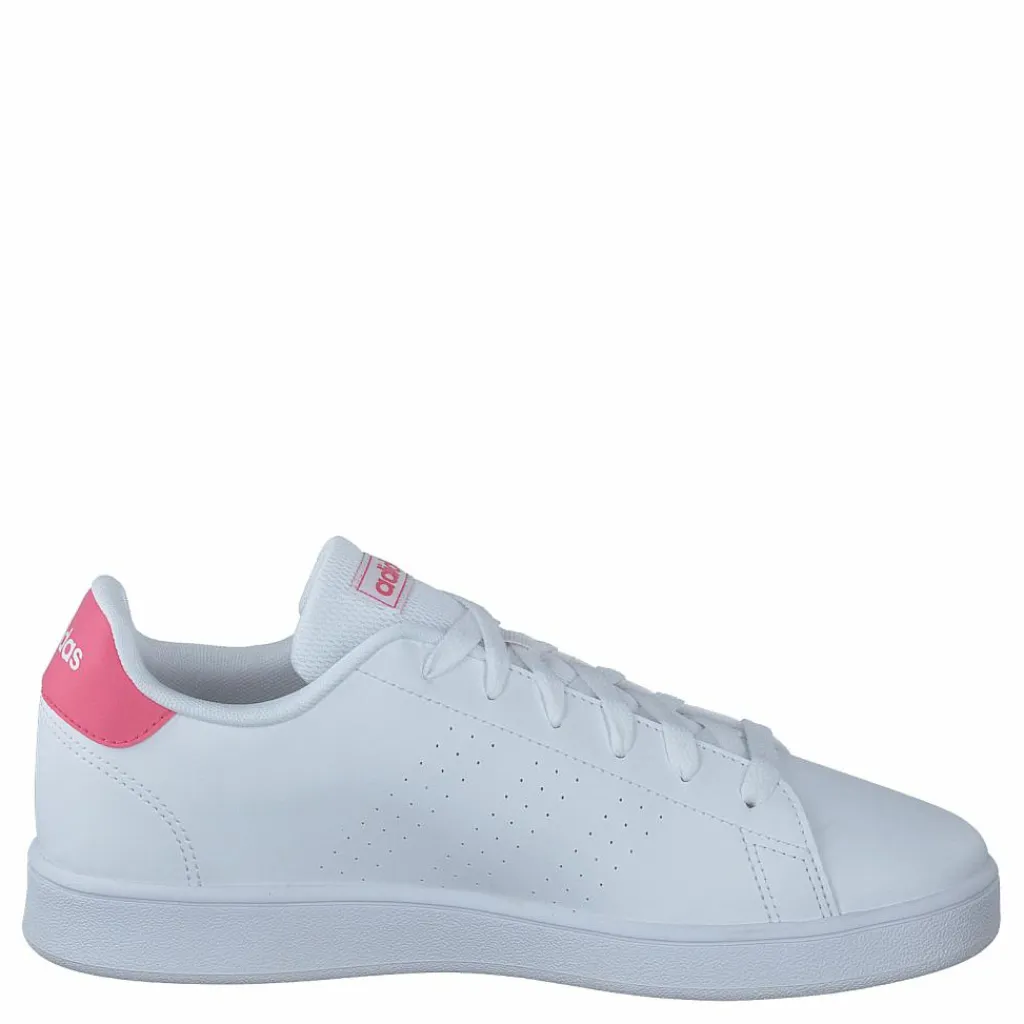 adidas Advantage Shoes Cloud White / Real Pink / Cloud White Vit och Rosa Discount