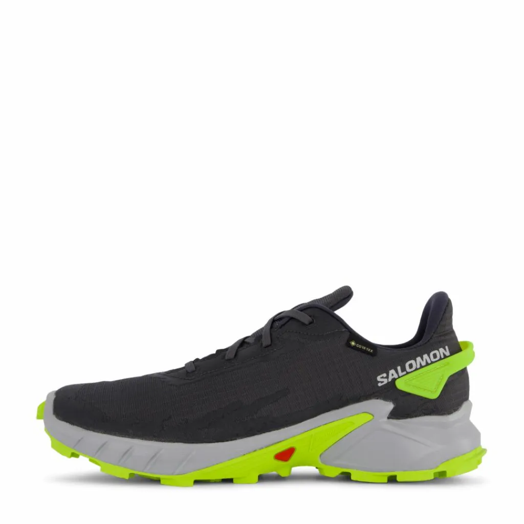 Alphacross 4 Gtx Ebony/pearl Blue/acid Lime*Salomon Clearance