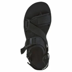 Alpine Strap Black*Merrell Best