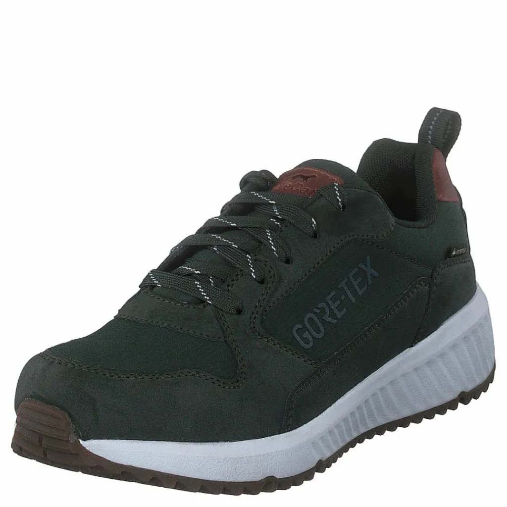 Arena Albertvil Gtx Green*Polecat New