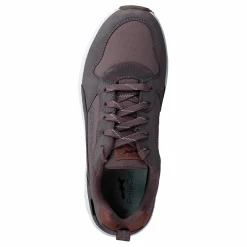 Arena Albertvil Gtx Lavender*Polecat Outlet