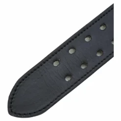 Bb Lifting Belt Black*Better Bodies New