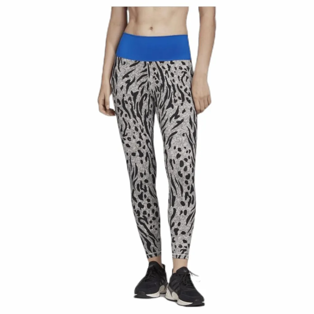 Believe This Tight P Blue/Grey*adidas Sale