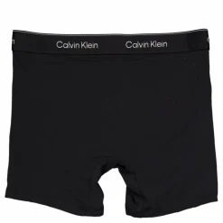Boxer Brief 3pk Blue*Calvin Klein New