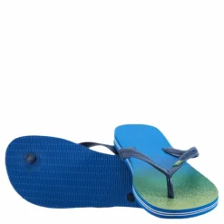 Havaianas Brasil Fresh Blue/Green Blå och Grön Online