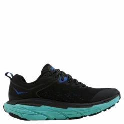 Hoka Challenger ATR 6 GTX Black