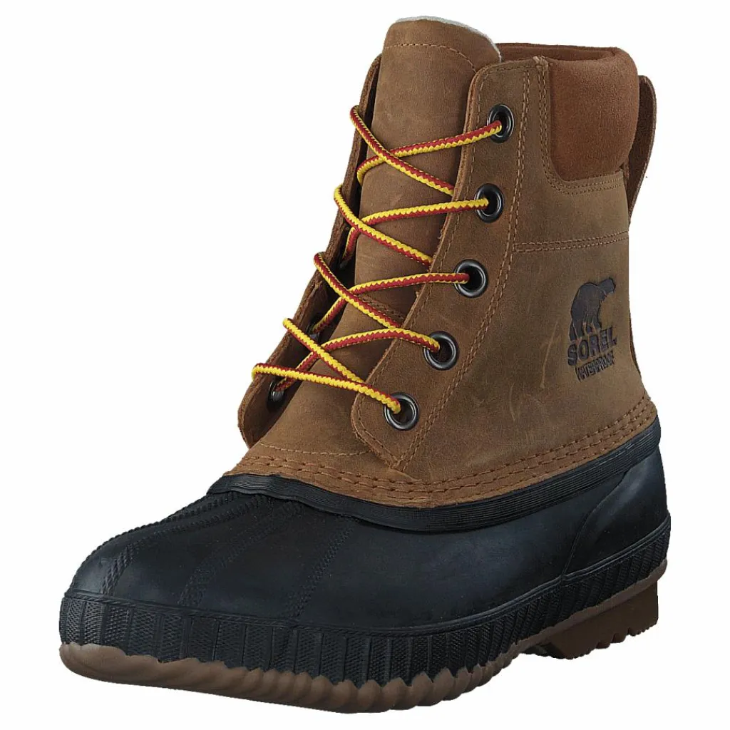 Cheyanne II 224 Chipmunk, Black*Sorel New