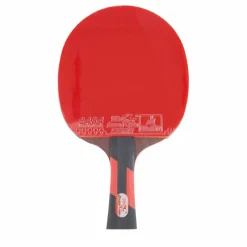 Ck-208 Tournament Table Tennis*Double Fish Best