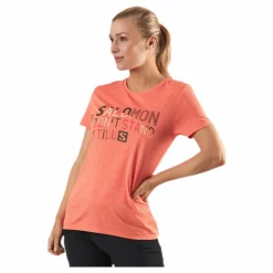 Comet Classic Tee Pink*Salomon New