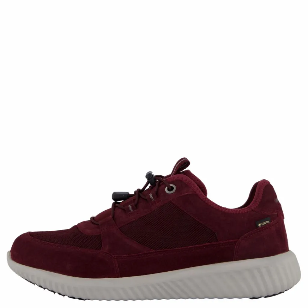 Credo Toronto Gtx Bordo*Polecat Best