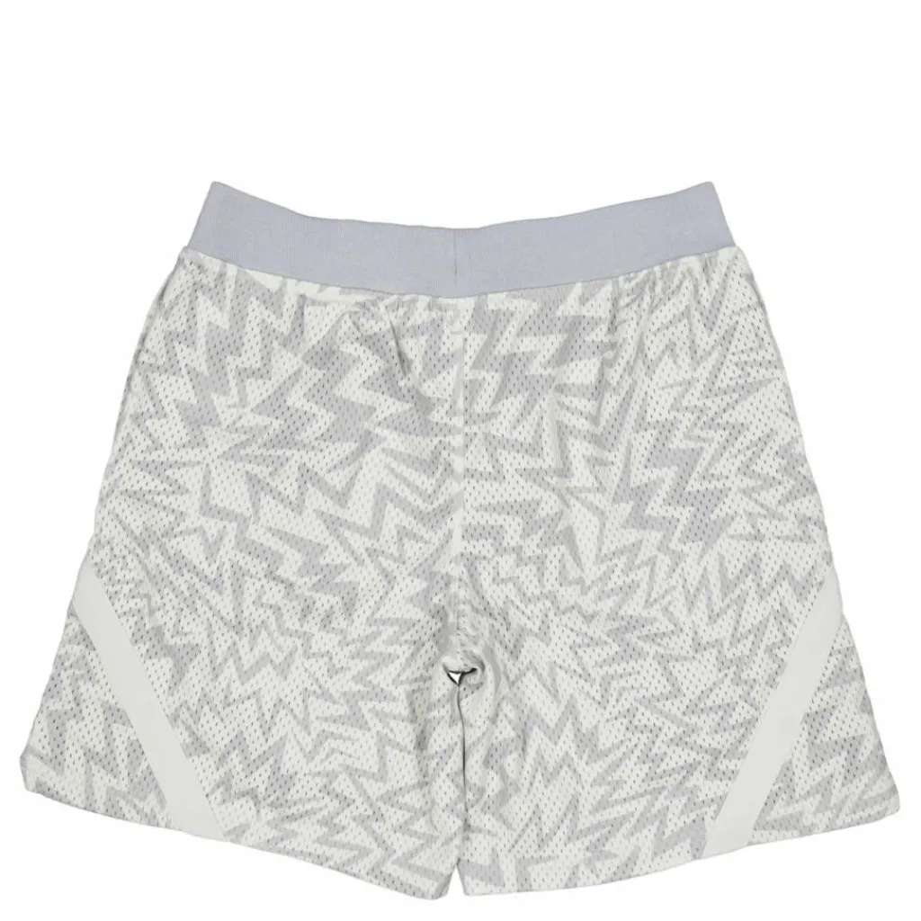 Under Armour Curry Mesh Short 2 White Clay Flerfärgad