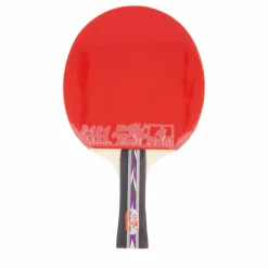 Double Fish 3d-c Table Tennis Racket Online