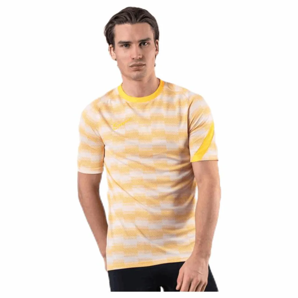 Nike Dri-FIT Academy SS Grey Flerfärgad New