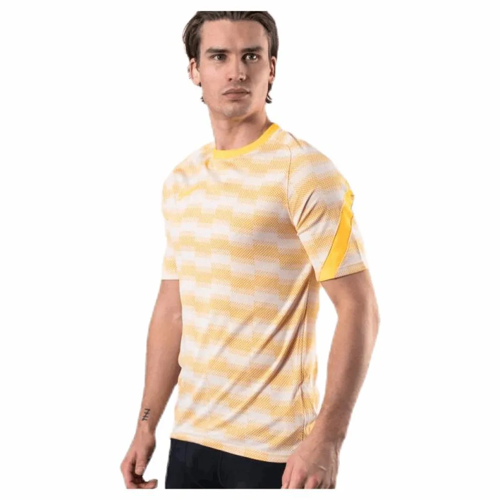Nike Dri-FIT Academy SS Grey Flerfärgad New