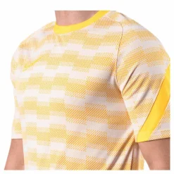 Nike Dri-FIT Academy SS Grey Flerfärgad New