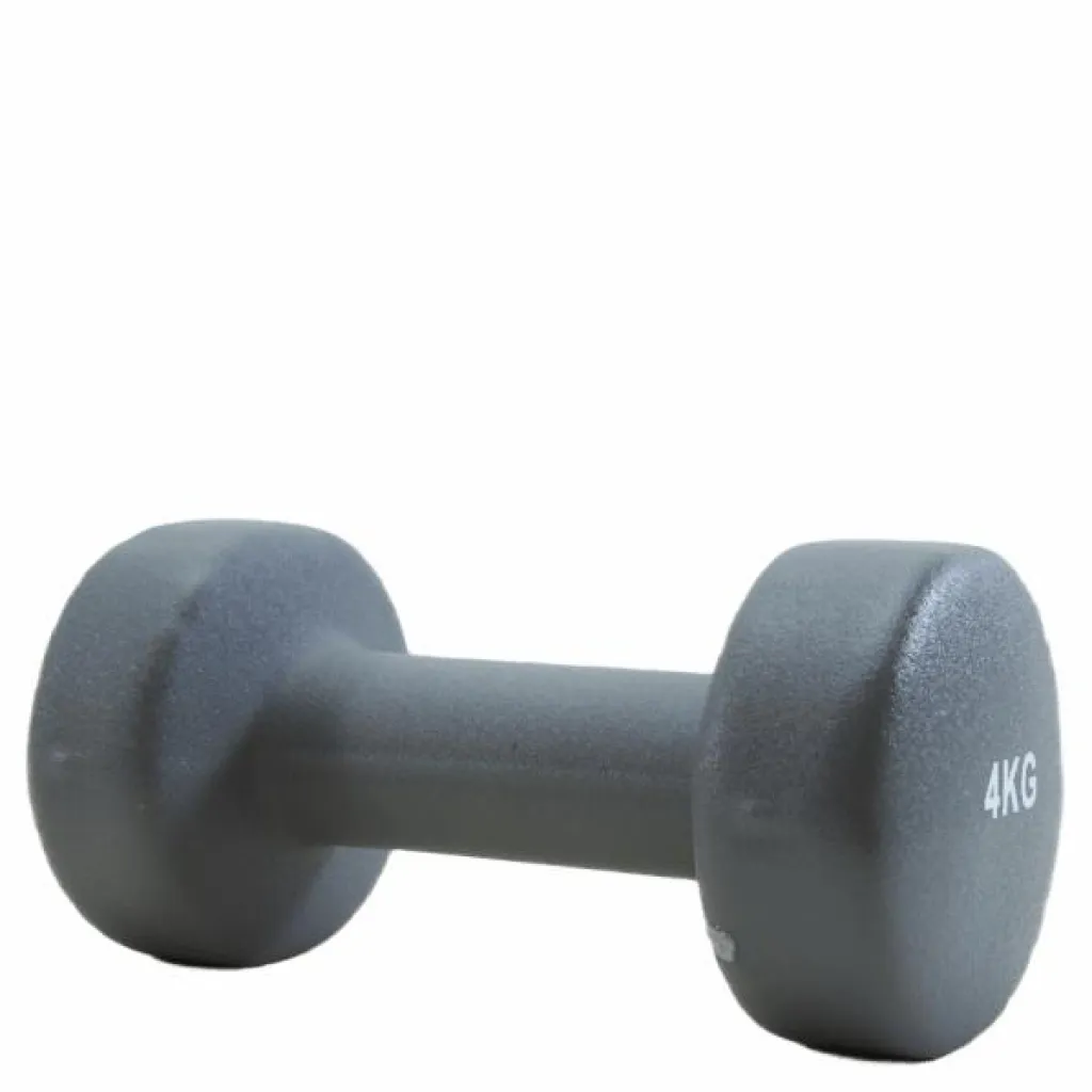 Endurance Dumbbell 4 KG Grey Grå Hot