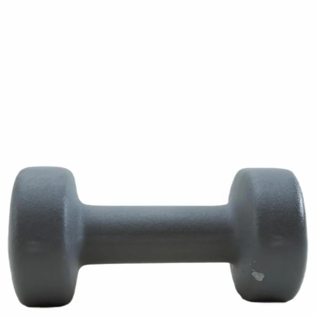 Endurance Dumbbell 4 KG Grey Grå Hot