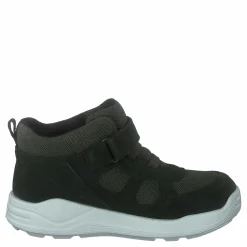 Urban Mini Deep Forrest /grape Leaf*ECCO Best