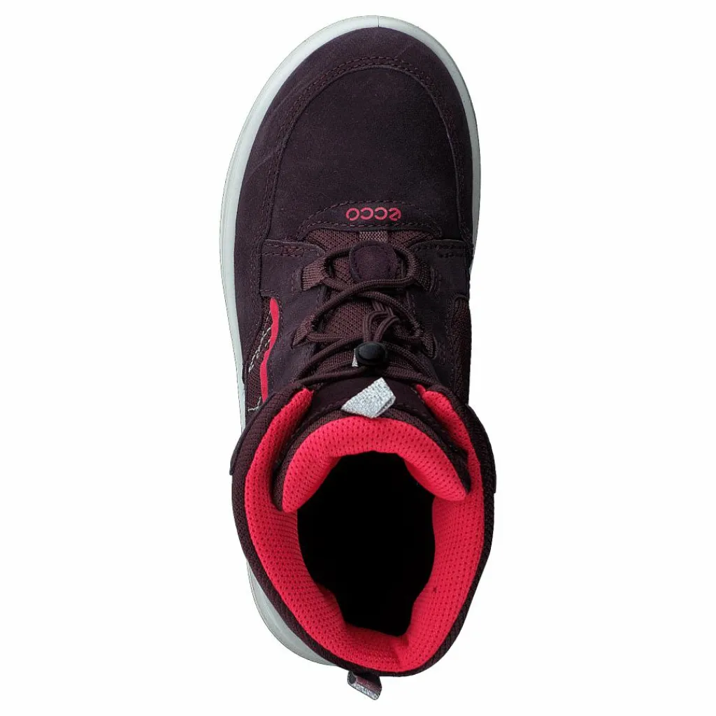 ECCO Urban Snowboarder Fig/teaberry Svart