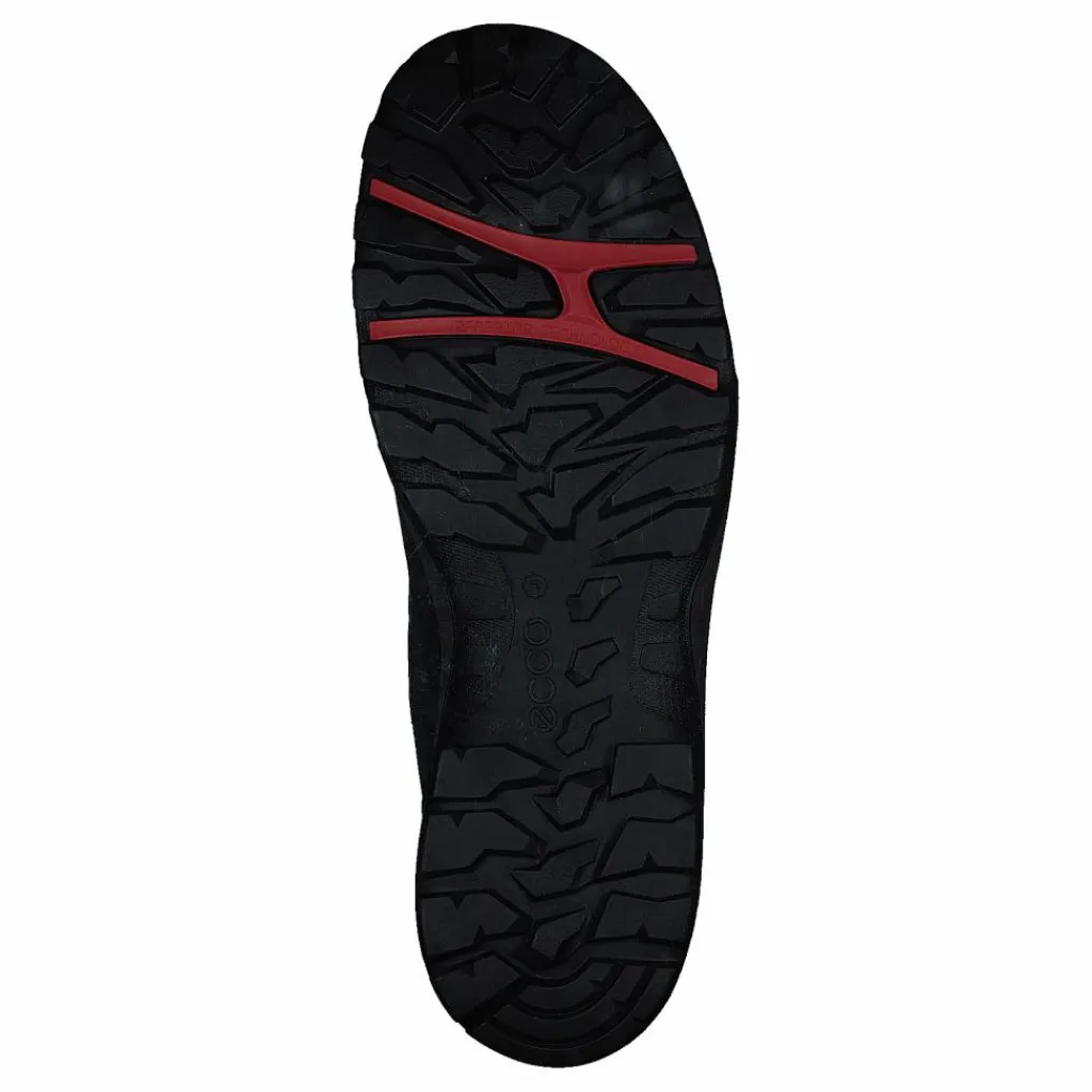 Xpedition Iii W Black/black*ECCO Hot