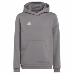 Entrada 22 Sweat Hoodie Tegrfo*adidas Best