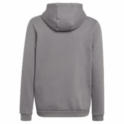 Entrada 22 Sweat Hoodie Tegrfo*adidas Best