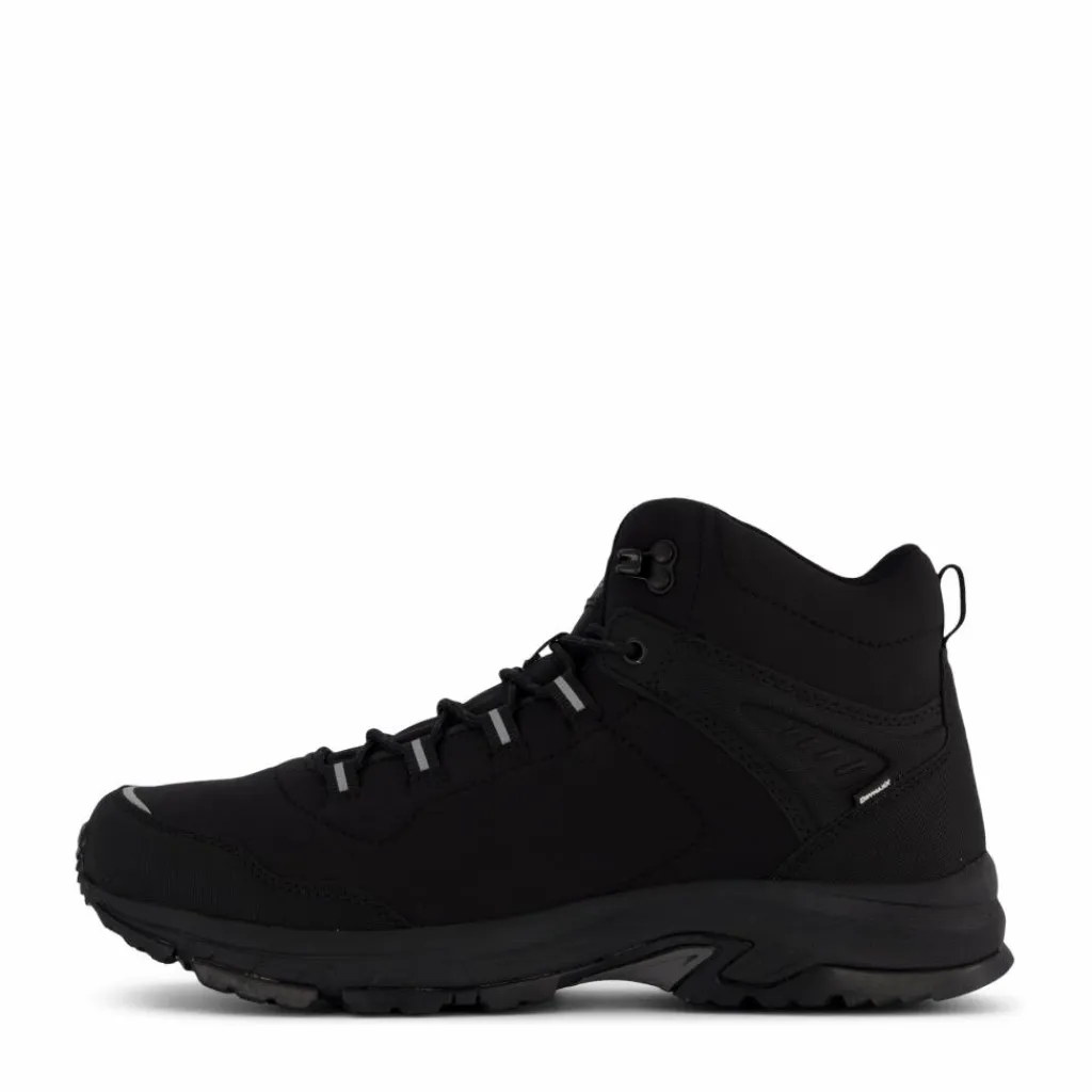 Felis Mid Dx M Black*Halti Clearance
