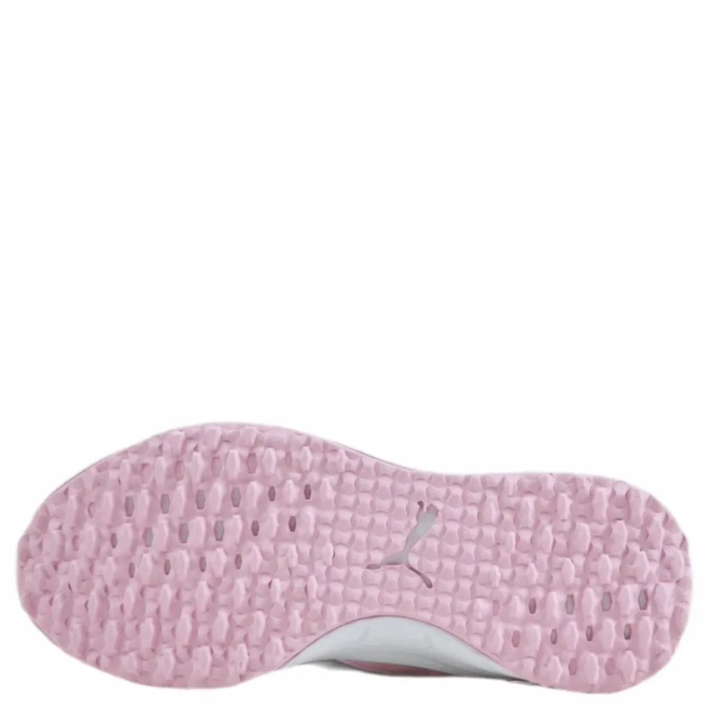 Fusion Evo Pink*Puma Golf Hot