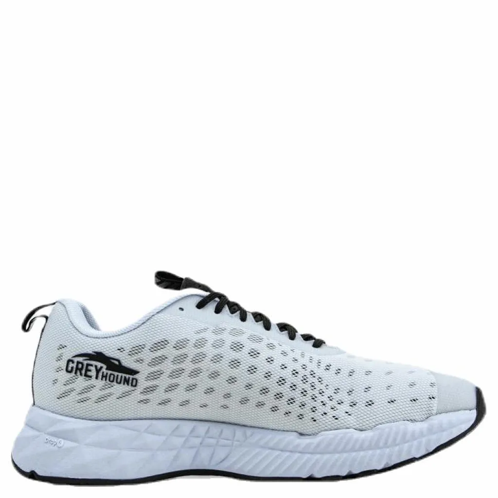 Salming Greyhound White/Black Discount