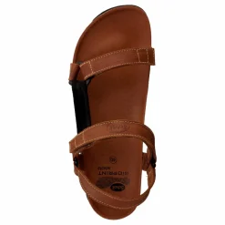 Scholl Heaven Brun