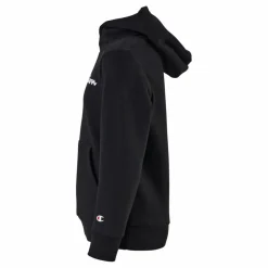 Hooded Sweatshirt Black Beauty*Champion Hot