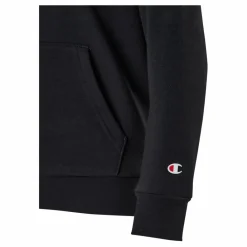 Hooded Sweatshirt Black Beauty*Champion Hot