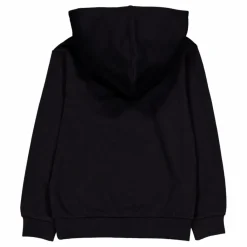 Hooded Sweatshirt Black Beauty*Champion