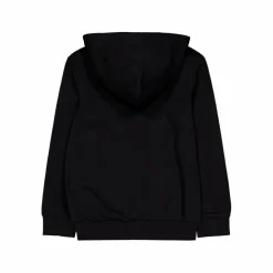 Champion Hooded Sweatshirt Black Beauty Svart Discount