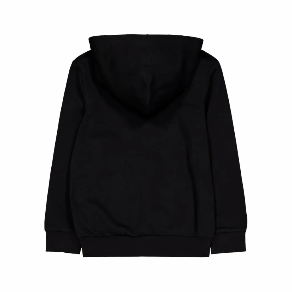Champion Hooded Sweatshirt Black Beauty Svart Discount